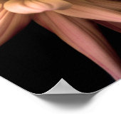 Dahlia Corona Cream Poster (Ecke)