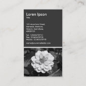 Dahlia 'David Howard' - 80pc Gray Visitenkarte (Rückseite)