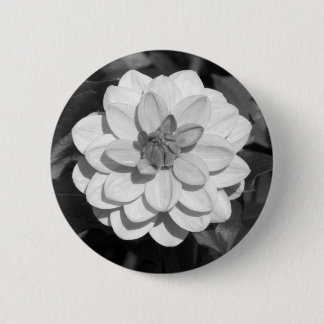 Dahlia 'David Howard' B&W Button