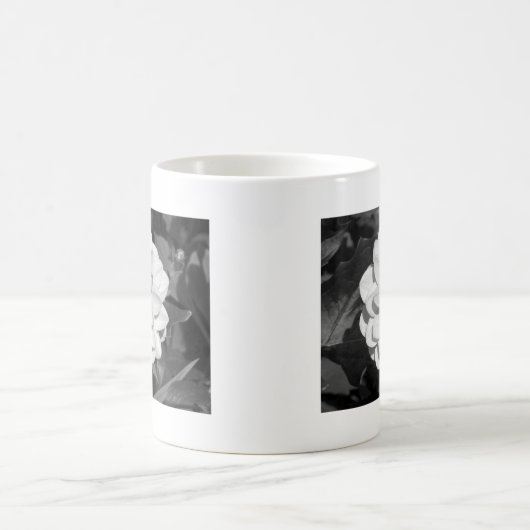 Dahlia 'David Howard' B&W Kaffeetasse (Mittel)
