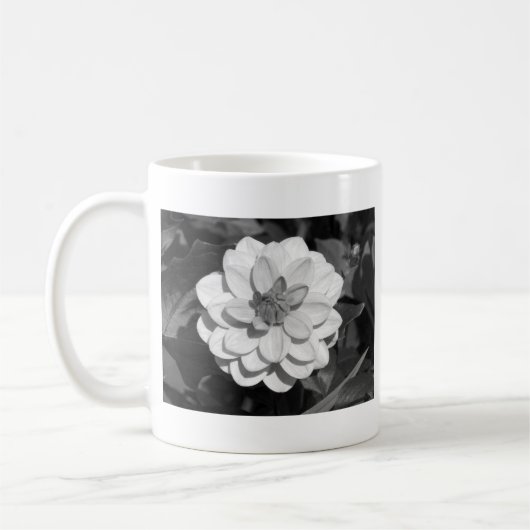 Dahlia 'David Howard' B&W Kaffeetasse (Links)