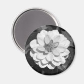 Dahlia 'David Howard' B&W Magnet (Vorderseite/Rückseite)