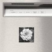 Dahlia 'David Howard' B&W Magnet (In Situ (Geschirrspüler))