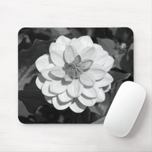 Dahlia 'David Howard' B&W Mousepad (Mit Mouse)
