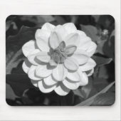 Dahlia 'David Howard' B&W Mousepad (Vorne)