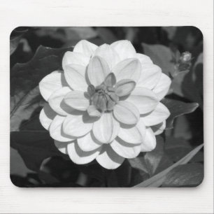 Dahlia 'David Howard' B&W Mousepad