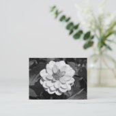 Dahlia 'David Howard' B&W Visitenkarte (Stehend Vorderseite)