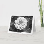 Dahlia 'David Howard' (grenzübergreifend) B&W Karte (Rückseite)