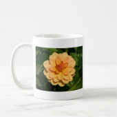 Dahlia 'David Howard' Kaffeetasse (Links)