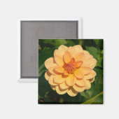 Dahlia 'David Howard' Magnet (Vorderseite/Rückseite)