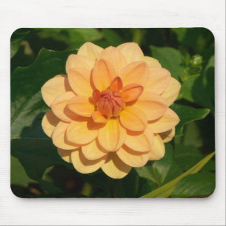 Dahlia 'David Howard' Mousepad