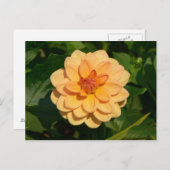 Dahlia 'David Howard' Postkarte (Vorne/Hinten)