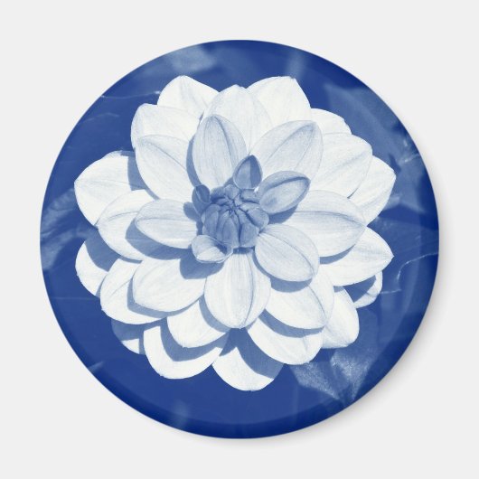Dahlia - Digital Cyanotype Magnet (Vorne)