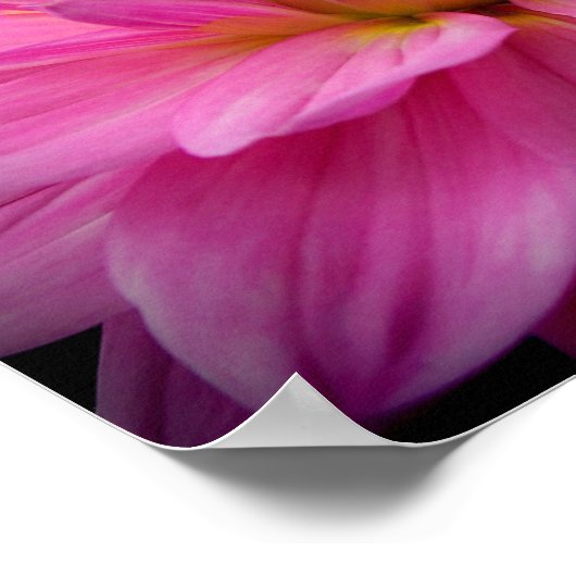 Dahlia Figurine Pink Poster (Ecke)