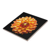 Dahlia Fliese (Seite)