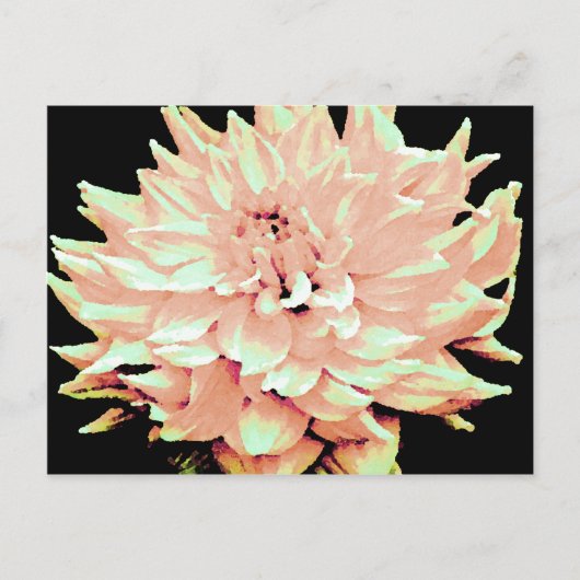 Dahlia - Flitterwochen - Pfirsich mit hellblütigem Postkarte (Vorderseite)