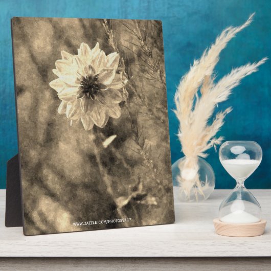 Dahlia Fotoplatte (Seite)