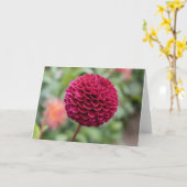 Dahlia Fuschia Karte (Gelbe Blume)