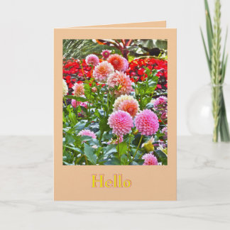 DAHLIA GARDEN/ PINK AND PEACH DAHLIAS/ "HELLO" KARTE