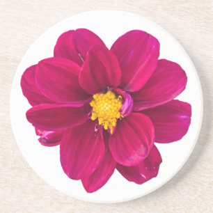 Dahlia Getränkeuntersetzer