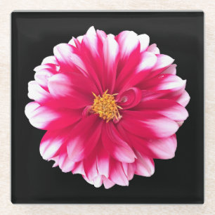 Dahlia Glasuntersetzer