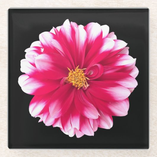 Dahlia Glasuntersetzer (Vorderseite)