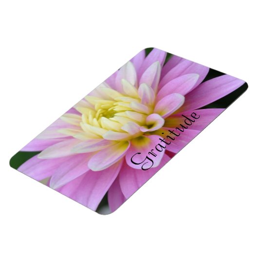 Dahlia Gratitude Magnet (Linke Seite)