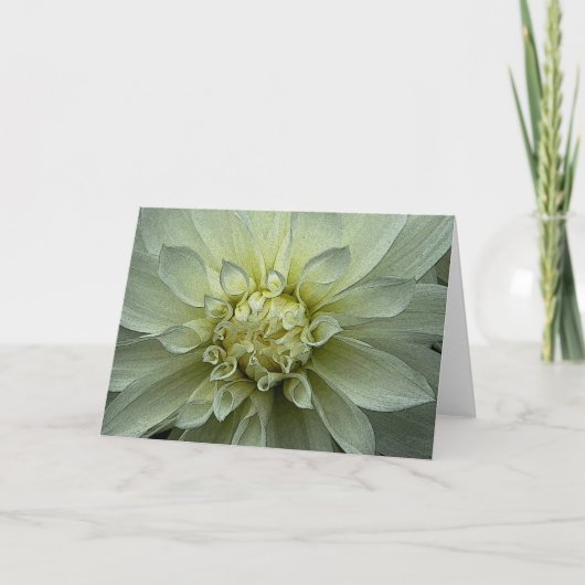 Dahlia - Greeting Card Karte (Vorderseite)