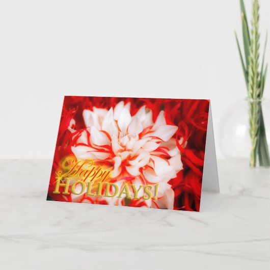 Dahlia Holiday Card Feiertagskarte (Vorderseite)