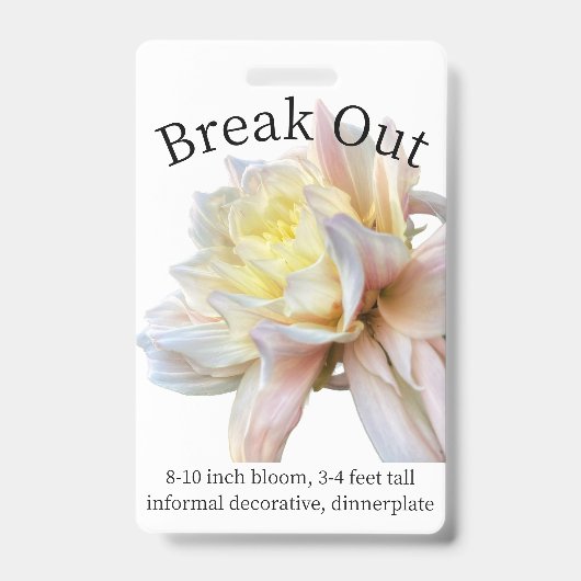 Dahlia-ID-Abzeichen ausbrechen Ausweis (Vorderseite)