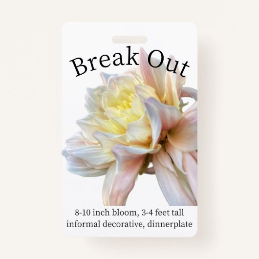 Dahlia-ID-Abzeichen ausbrechen Ausweis (Vorderseite)