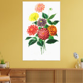 Dahlia illustriert leinwanddruck (Insitu (Wohnzimmer))
