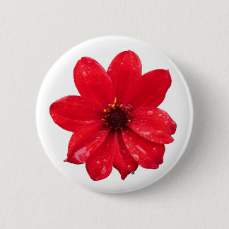 Dahlia im Regen Button