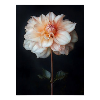 Dahlia in Bloom Botanische Malerei Poster