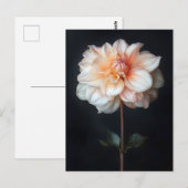Dahlia in Bloom Botanische Malerei Postkarte (Vorne/Hinten)