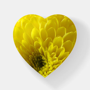 Dahlia in gelbem Herz-geformt Paperweight Briefbeschwerer