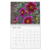 Dahlia Kalender (Feb 2027)