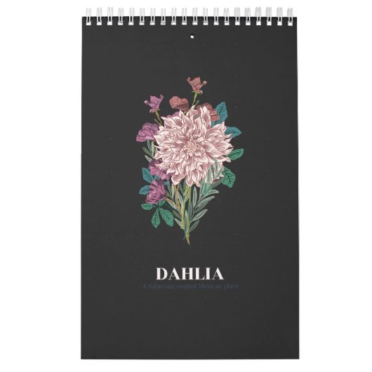 DAHLIA KALENDER (Titelbild)