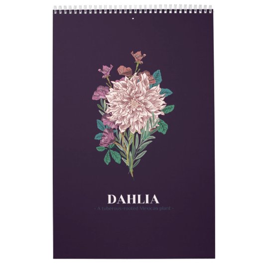 DAHLIA KALENDER (Titelbild)