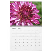 DAHLIA-Kalender 2021 Kalender (Jan 2027)