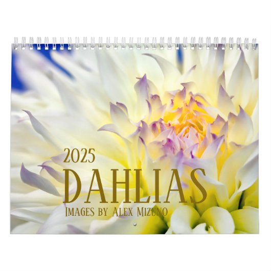 Dahlia-Kalender 2025 Kalender (Titelbild)