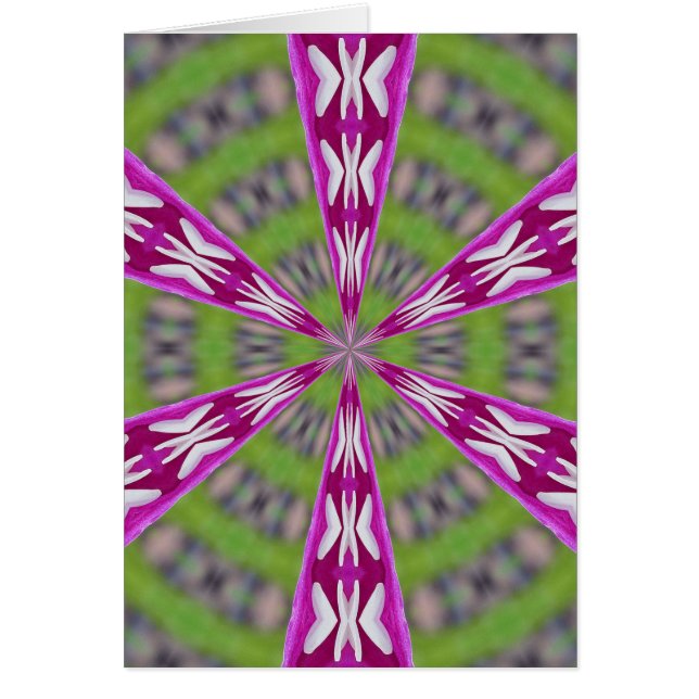 Dahlia Kaliediscope (Vorne)