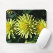 Dahlia Lakeview Glow #1 Mouse Pad Mousepad (Mit Mouse)