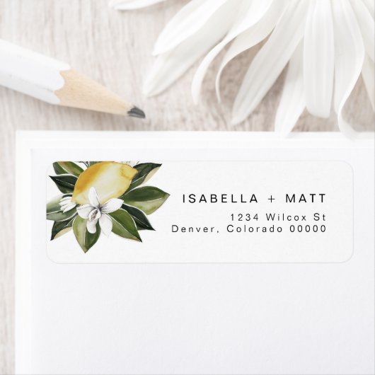 DAHLIA Lemon Citrus Fruchtsommer Rücksendeadresse (Insitu)