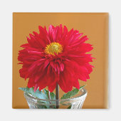 Dahlia Magnet (Vorne)