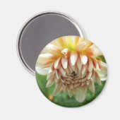 Dahlia Magnet (Vorderseite/Rückseite)