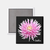 Dahlia Magnet (Vorderseite/Rückseite)