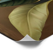 Dahlia-Malerei: Blume Blossom im klassischen Stil Poster (Ecke)