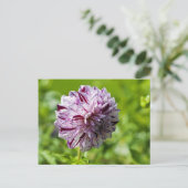 Dahlia Marble Ball Postcard Postkarte (Stehend Vorderseite)