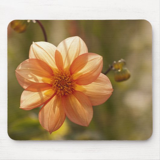 Dahlia-Mauspad Mousepad (Vorne)